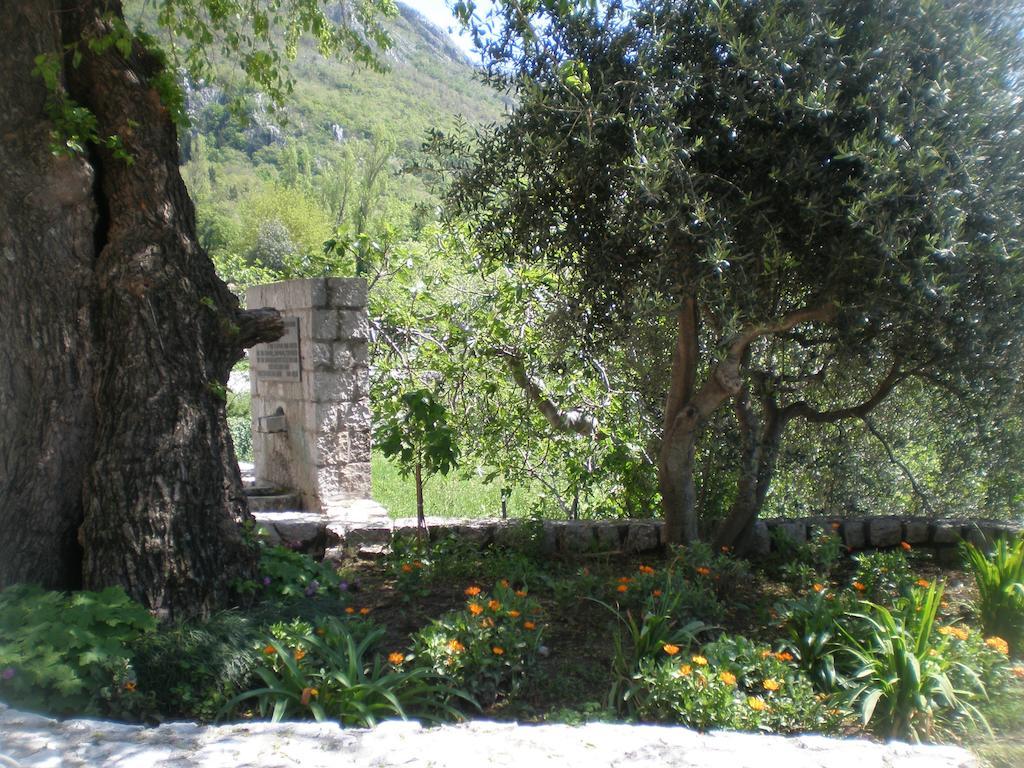 Villa Lidija Budva Room photo